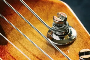 Music Instrument Details Stampe: Detail of strings and a tuning keys