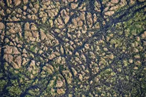 Botswana Landscape Photography Stampe: Structure and pattern, grass from above