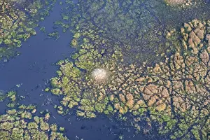 Botswana Landscape Photography Stampe: Structure and pattern, termite mounds in marshland