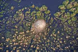 Botswana Landscape Photography Stampe: Structure and pattern, termite mounds in marshland