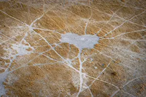 Stampe di Struttura e schema di sentieri, piste animali, paesaggio, vista aerea del Delta dell'Okavango, vicino a Maun, Delta dell'Okavango, Botswana Maun Stampe: Struttura e schema dei sentieri.