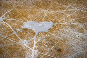 Okavango Delta Landscape Stampe: Structure and pattern of trails