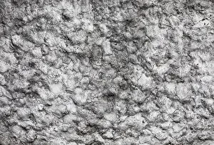 Whitewashed House Facade Stampe: Structure of a whitewashed house facade