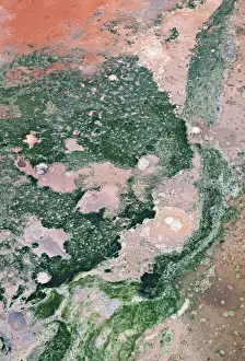 Icelandic Geothermic Energy Stampe: Detail of structures formed by algae