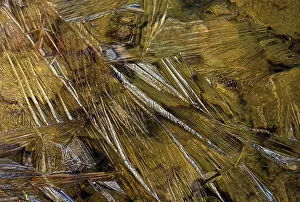 Ice Structures Stampe: Structures in ice