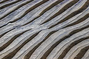 Wavy Structure In Sand Stampe: Structures, ripples in the sand