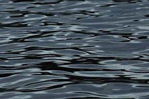 Water Surface Structures Stampe: Structures on water surface