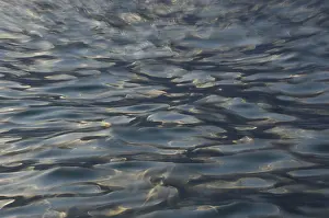 Abstract Background Images Stampe: Structures on water surface