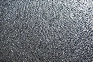 Central Europe Water Features Stampe: Structures of a water surface from the Main