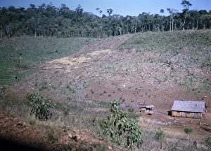 South American Countryside Scenery Stampe: Subsistence farming Deforestation for subsistence farming