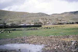 Lake Titicaca Peru Stampe: Subtitle: Shores of Lake Titicaca, Peru, South America, 1962, South America