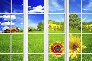 Summer Bloom Photography Stampe: Summer