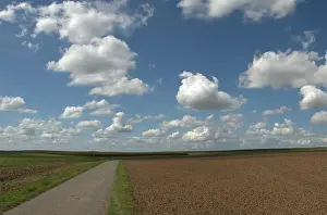Agricultural Landscape In Germany Stampe: Summer sky with clouds above fields