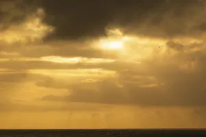 Deserted Beach In Northern Europe Stampe: Sun bursts out from behind clouds