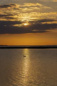 Bird Photography In Germany Stampe: Sun behind clouds, sunset, reflection