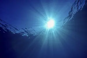 Underwater World Photography Stampe: Sun rays break through the surface of the ocean