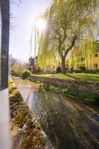 Baden Wurttemberg Scenery Stampe: Sun rays shine through the branches of a willow tree above a stream