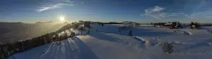 Snow Capped Mountain View Stampe: Sun shining through bare trees