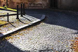 Autumn Street Scene Stampe: Sunlight in the fall on the pavement