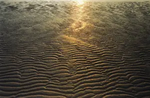 Morning Sunrise Landscape Stampe: Sunset