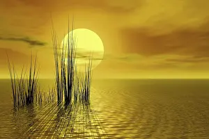Evening Sky Photography Stampe: Sunset