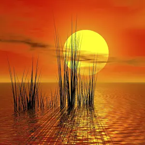 Evening Atmosphere Photography Stampe: Sunset