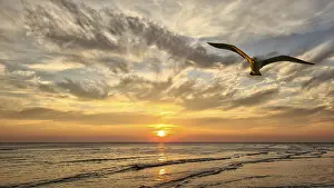 Stampa con cornice : Sunset Stampa con cornice : Sunset