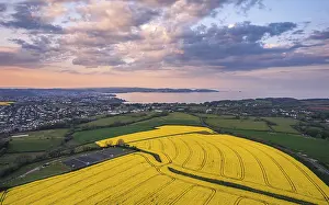 British Countryside Landscape Stampe: Sunset over Devon Fields and Farmlands from a drone
