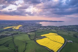Drone Photography Devon Stampe: Sunset over Devon Fields and Farmlands from a drone