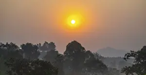 Atmospheric Landscape Shots Stampe: Sunset over the forest, Uganda