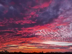 Evening Atmosphere Stampe: Sunset illuminating the sky with dramatic red