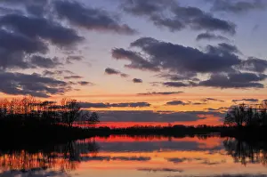 Evening Sky Reflections Stampe: Sunset on a lake with trees and clouds