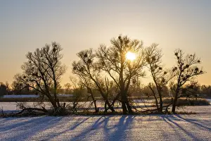 Lower Oder Valley National Park Stampe: Sunset in the Oder floodplains in winter
