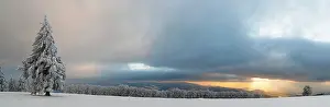 Evening Light In The Black Forest Stampe: Sunset after a snowfall on the Kandel