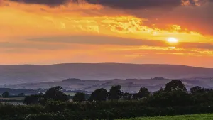 British Countryside Evening Scene Stampe: Sunset over Torquay Fields, Devon