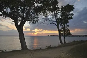 Cloudy Evening Sky Stampe: Sunset, tree, trees, two, evening