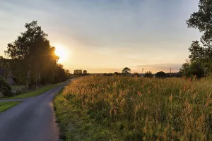 German Evening Atmosphere Stampe: Sunset behind trees, sun rays, Elbe cycle path