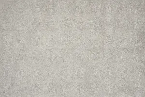 Gray Textured Background Stampe: Surface of a medium gray rough plaster wall