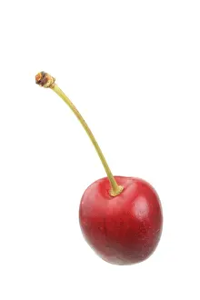 Single Object Still Life Stampe: Sweet cherry