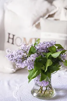 Nature Photography Stampe: Syringa