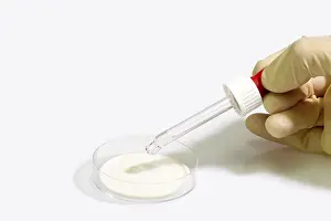 Laboratory Apparatuses Stampe: Table Top