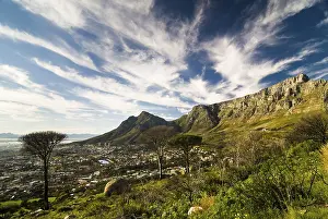 Table Mountain View Stampe: Table Mountain and Devil's Peak