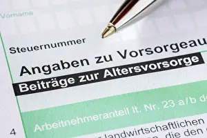 Tax Return Documents Stampe: Tax return, documents, pension contributions