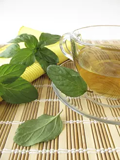 Medicinal Plant Uses Stampe: Tea with lemon and mint