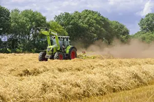 Agrarian Landscape Stampe: Tedder (machine)