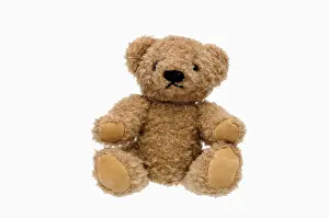 Teddy Bear Stampe: Teddy bear