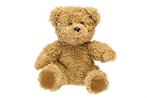 Plush Toy Photography Stampe: Teddy bear