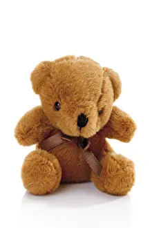 Teddy Bear Stampe: Teddy bear