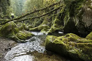 Southern Germany Nature Tourism Stampe: Teufelskuche, Devil's Kitchen