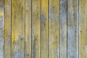 Wooden Plank Background Design Stampe: Texture, background, plank wall
